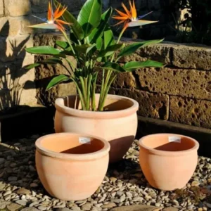 Pflanzkübel Pflanzgefäß Blumentopf helles Terracotta frostfest!3 Größen wählbar