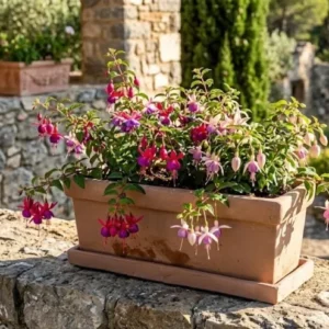 Pflanzkasten mit Untersetzer Blumenkasten cappuccino rustikal 37 cm lang