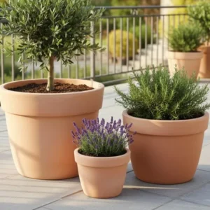 Pflanzkübel konisch Rand Blumentopf Terracotta hell frostfest!3 Größen wählbar