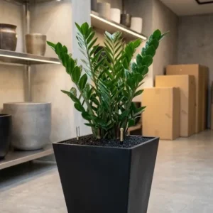 Ecostone Pflanzkübel 57+45 cm – Anthrazit Schwarz – Unzerbrechlich & Nachhaltig