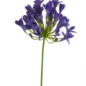 Agapanthus künstlich 75 cm - 1 Stiel - Dunkelviolett