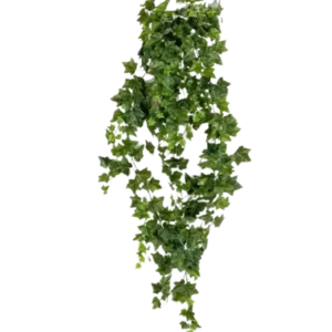 Künstlicher Hänge-Efeu - Lennart, 180 cm, Kunstpflanze von aplanta, Steckpflanze, in Natur, für drinnen