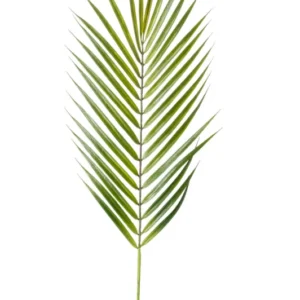 Palme künstlich 75 cm - 1 Wedel - Grün