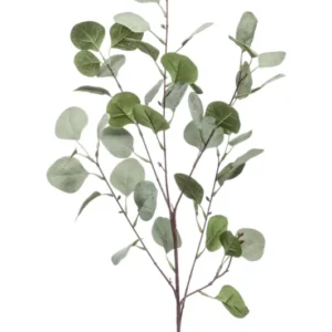 Eukalyptus Populus künstlich 87 cm - 1 Zweig - Grün-Grau
