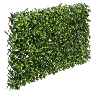 Flexible Prunus Pflanzenwand - Malte | 130-200 cm