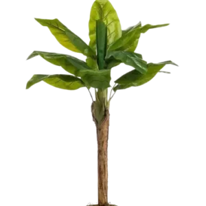 Künstlicher Bananenbaum - Giro, 110 cm, Kunstbaum von aplanta, in Natur, für drinnen