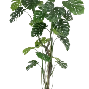 Künstliche Monstera - Mogli, 210 cm, Kunstbaum von aplanta, in Grün, für drinnen