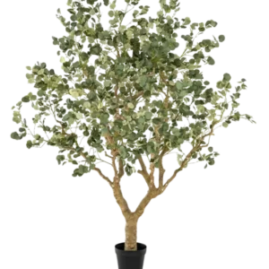 Künstlicher Eucalyptus - Kalli, 240 cm, Kunstbaum von aplanta, in Grün, für drinnen