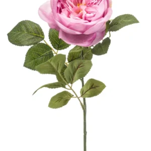 Englische Rose künstlich 65 cm - 1 Stiel - Lila