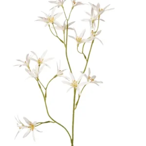 Tweedia künstlich 70 cm - 1 Zweig - Weiß