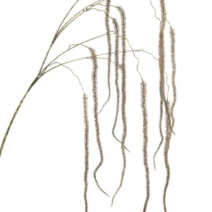 Amarant künstlich 140 cm - 1 Zweig - Braun