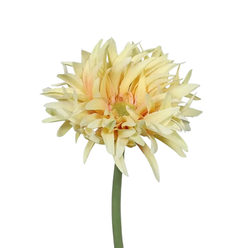 Künstliche Gerbera gefranzt - Adam, 57 cm, Kunstpflanze von aplanta, in Gelb, für drinnen