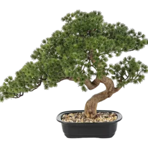 Künstlicher Bonsai - Sofia, 44 cm, Kunstbaum von aplanta, in Grün, für drinnen