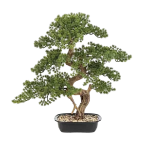 Künstlicher Bonsai - Rupert, 68 cm, Kunstbaum von aplanta, in Grün, für drinnen