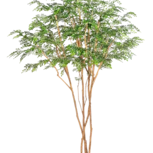 Künstlicher Curybaum - Sagur, 320 cm, Kunstbaum von aplanta, mit Echtholzstamm, in Grün, für drinnen