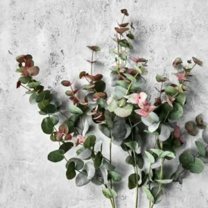 Artificial branch, HDEucalyptus, Grøn