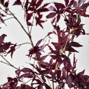 Artificial branch, HDMaple, Bordeaux