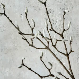Artificial branch, HDMagnolia, Hvid