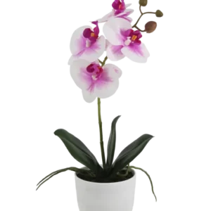 Künstliche Orchidee - Dan, 35 cm, Kunstblume von aplanta, inkl. Dekotopf, Real Touch, in Pink, für drinnen