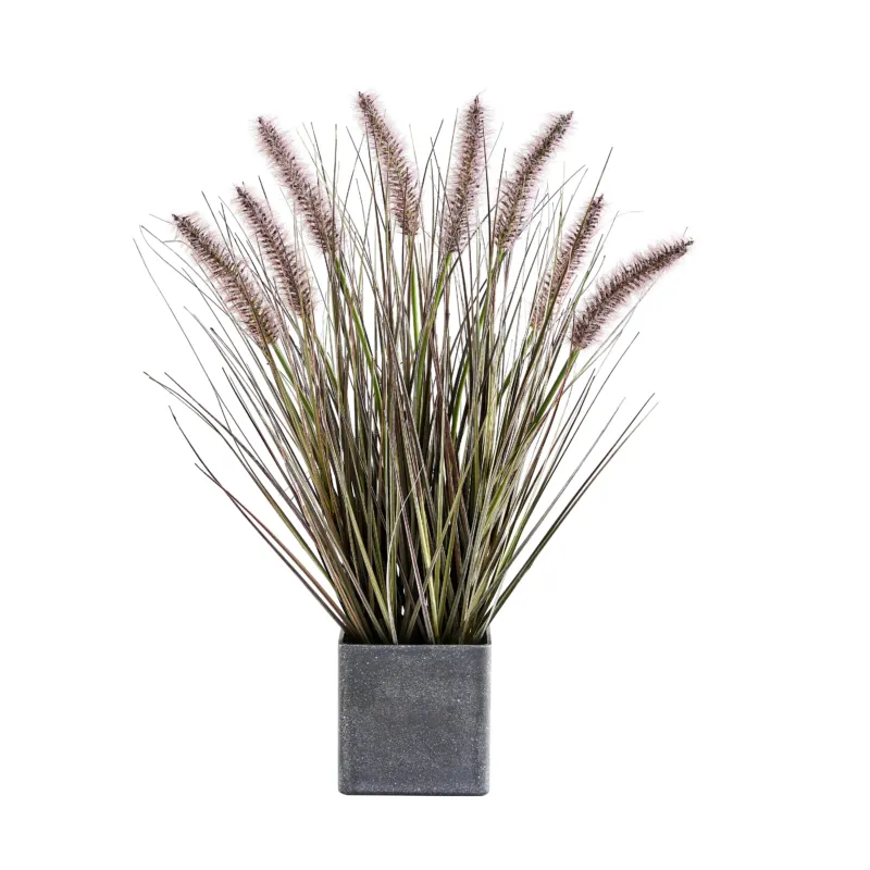 Künstliches Japanisches Federborstengras- Philomène, 46 cm, Kunstpflanze von aplanta, mit Fruchtstamm, in Grün, für drinnen