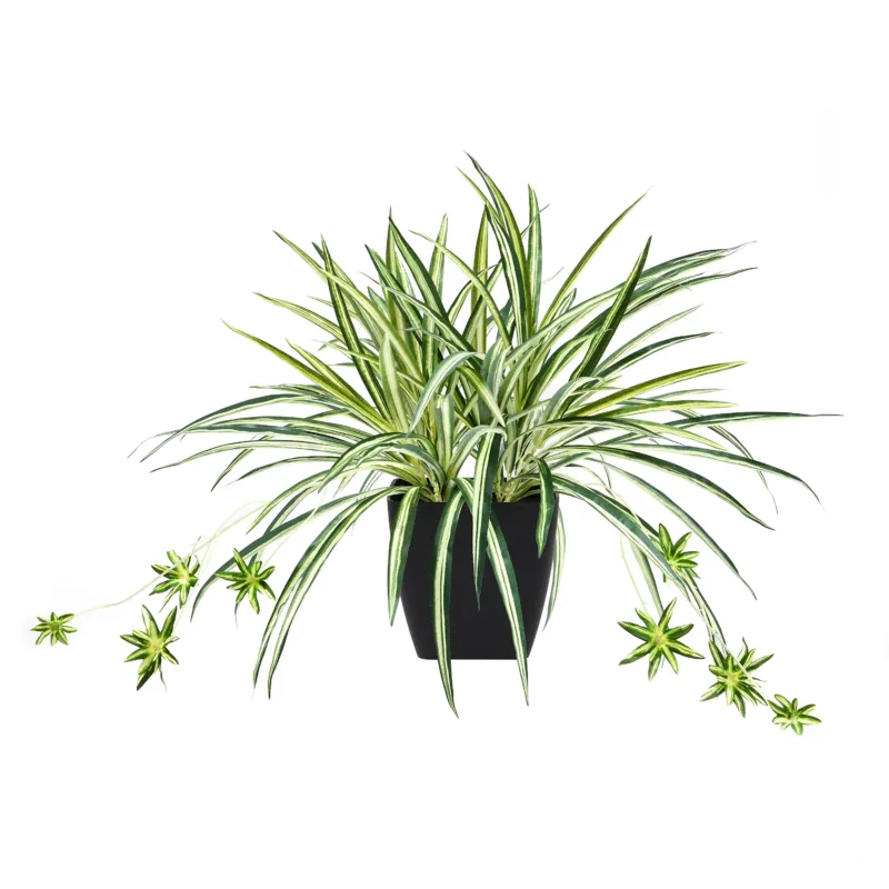 Künstliche Grünlilie - Liora, 50 cm, Kunstpflanze von aplanta, für drinnen