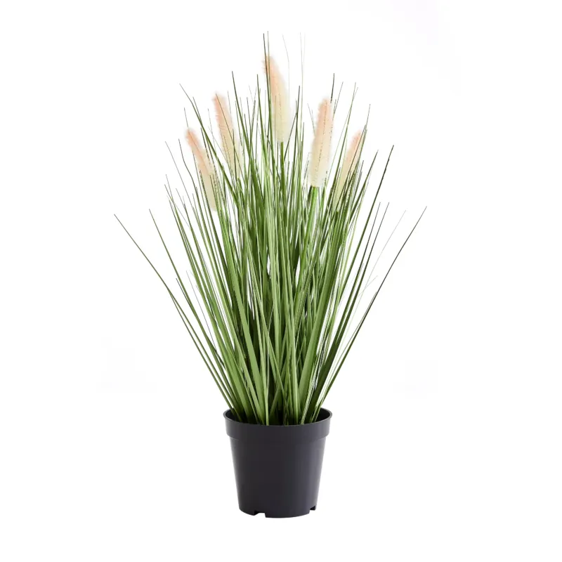 Künstliches Lampenputzergras - Lysandros, 56 cm, Kunstpflanze von aplanta, mit Fruchtstamm, in Grün, für drinnen