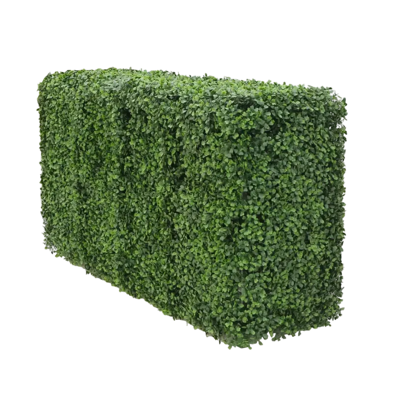 Künstliche Buchsbaumhecke - Jonas | 100x50 cm