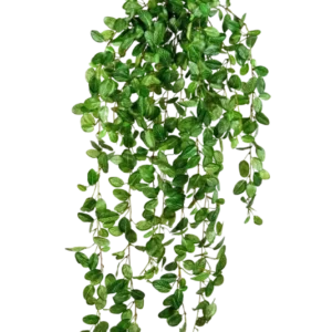 Künstliche Hänge-Fittonia - Freya, 85 cm, Kunstpflanze von aplanta, Steckpflanze, in Natur, für drinnen