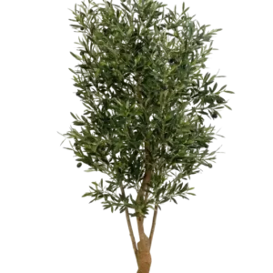 Künstlicher Olivenbaum - Ian, 170 cm, Kunstbaum von aplanta, mit Echtholzstamm, in Natur, für drinnen