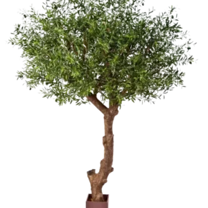 Künstlicher Olivenbaum - Ilias, 270 cm, Kunstbaum von aplanta, in Natur, für drinnen