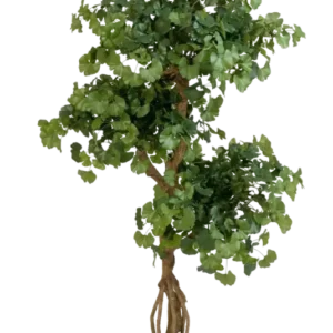 Künstlicher Gingko - Titus, 145 cm, Kunstbaum von aplanta, feuerhemmend, im schwarzen Topf, 145 cm feuerhemmend, in Natur