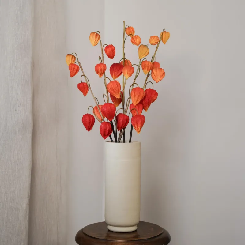 Amour en cage orange, vue d'ensemble de la tige fleurie - Flowrette
