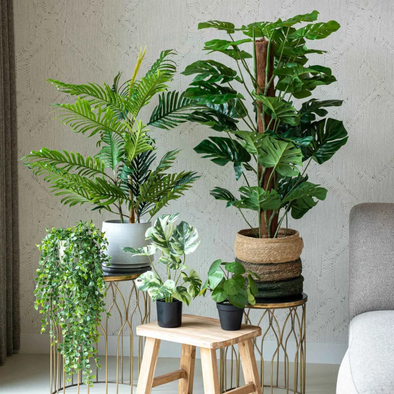 Urban jungle L - 5 pcs - Artificial Plants - Bundle set