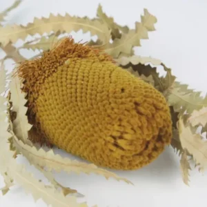 Banksia Hookerana - 1 Stiel - Safrangelb - Si-nature