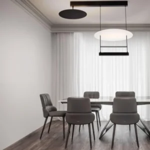 Diona LED Deckenleuchte 2-flammig 3000K Schwarz, Weiß für modernes Esszimmer mit warmweißem Licht