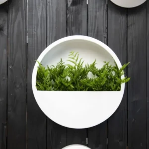Hanging Wally Wandpflanzschale Hochglanz Weiß aus Fiberstone – im Lifestyle-Setting