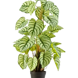 Die Kunstpflanze Anthurium 90 cm grün ist eine Kunstpflanze im Topf mit großen, ovalen grün-weiß gestreiften Blättern, die aufrecht in einem schwarzen Topf vor einem schlichten weißen Hintergrund steht.