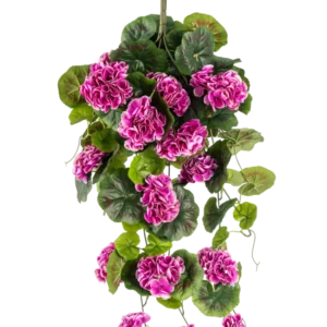 Die künstliche Hängepflanze Geranium 75 cm lila hat üppige grüne Blätter und Büschel leuchtend lila-magentafarbener Blüten mit weißen Rändern, die anmutig an einem vertikalen Stiel herunterfallen und so eine schöne Hängedekoration ergeben.