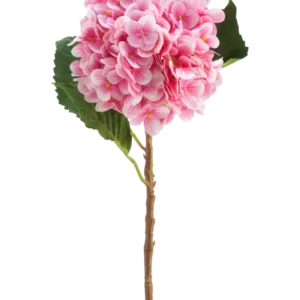 Die künstliche Blume Hortensie Real Touch rosa 58 cm ist ein einzelner rosafarbener künstlicher Hortensienstiel mit grünen Blättern, mit einer runden Blüte aus vielen kleinen Blütenblättern, wunderschön detailliert und isoliert auf einem weißen Hintergrund.