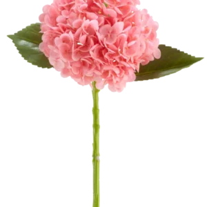 Die künstliche Blume Charlotte Hydrangea Real Touch dunkelrosa ist eine künstliche Hortensienblüte von 55 cm Länge mit einer runden Gruppe dunkelrosa Blütenblätter und grünen Blättern auf einem langen Stiel, isoliert auf weißem Hintergrund.
