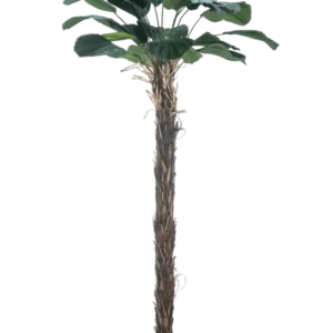 Een Kunstplant Licuala Grandis 220 cm kunstmatige palmboom met grote bladeren.