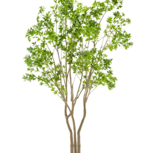 Die Kunstpflanze Pieris Japonica 290 cm ist ein hoher Kunstbaum mit mehreren hellbraunen Stämmen und üppig grünen Blättern in einem rechteckigen Topf vor einem weißen Hintergrund.