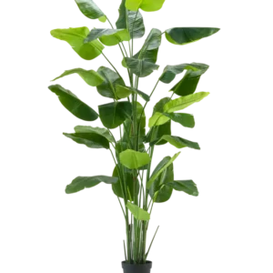 Die Kunstpflanze Strelitzia Real Touch Deluxe 300 cm ist eine hohe Kunstpflanze mit langen, breiten grünen Blättern in einem schwarzen Topf, dargestellt vor einem schlichten weißen Hintergrund.