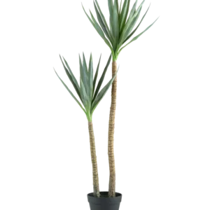 Die Kunstpflanze Heneken 120 cm ist eine künstliche Yucca-Pflanze mit zwei hohen, schlanken Stämmen und spitzen grünen Blättern vor einem schlichten weißen Hintergrund.
