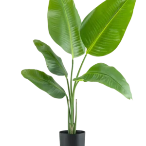 Die Kunstpflanze Strelitzia 90 cm Real Touch hat breite, glänzend grüne Blätter und wird in einem schlichten schwarzen Topf vor einem schlichten weißen Hintergrund geliefert.