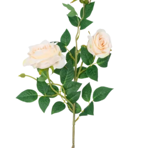 Die künstliche Rose Neo Deluxe 75 cm beige hat einen einzelnen Stiel mit zwei hellbeigen blühenden Rosen, einer Rosenknospe und mehreren grünen Blättern vor einem schlichten weißen Hintergrund.