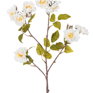 De Kunsttak roos 72 cm wit heeft een enkele bruine stengel met meerdere takken, groene bladeren en verschillende grote witte bloemen met gele harten, geïsoleerd op een witte achtergrond.