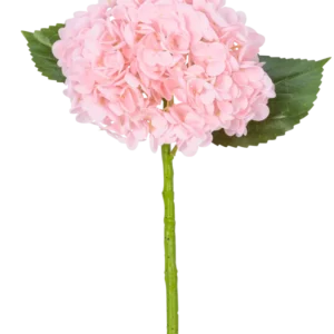 Die künstliche Hortensie „Annabelle“ Real Touch Pink 55 cm hat eine einzelne rosa Hortensienblüte mit Blütenblättern, zwei grünen Blättern und einem langen grünen Stiel vor einem weißen Hintergrund.