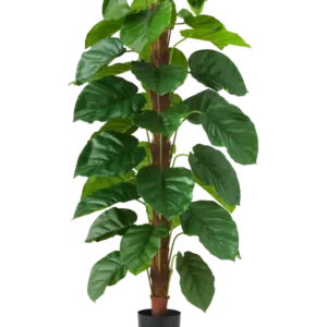 Die Kunstpflanze Epipremnum aureum 150 cm ist eine hohe Kunstpflanze mit großen, glänzend grünen Blättern, präsentiert in einem schwarzen Topf vor einem schlichten weißen Hintergrund.