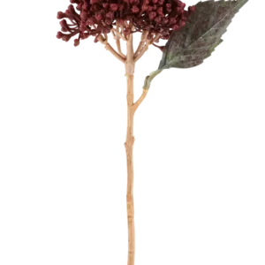 Vor einem weißen Hintergrund ist eine einzelne getrocknete künstliche Hortensie in Burgunderrot mit einer Länge von 38 cm, mit getrockneten rotbraunen Blütenblättern, einer Ansammlung kleiner Knospen und einem grünen Blatt auf einem langen, schlanken Stiel abgebildet.